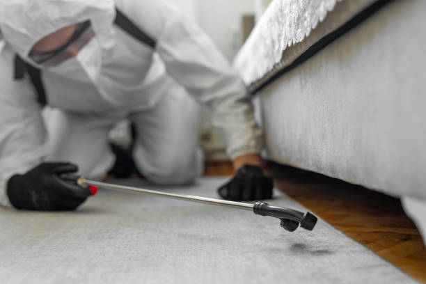 Professional Bed Bug Control technician working in North Newton, KS