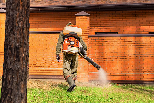 Trusted Termite Control service in North Newton, KS - Nex Pest Control